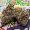 TED TOKER