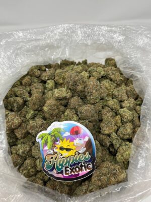 HIPPIES EXOTIC