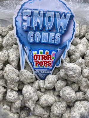 SNOW CONES ( OTTER POPS)