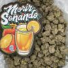 MORIZ SONANDO