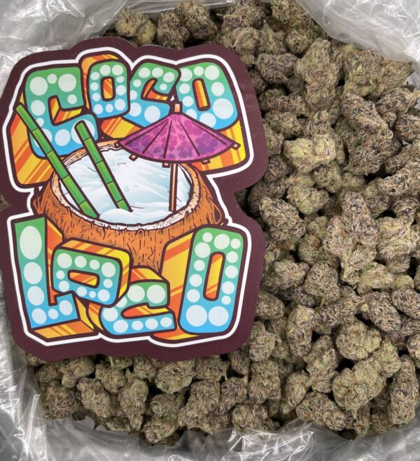 COCO LOCO