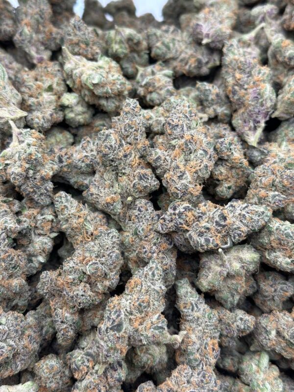 COCO LOCO