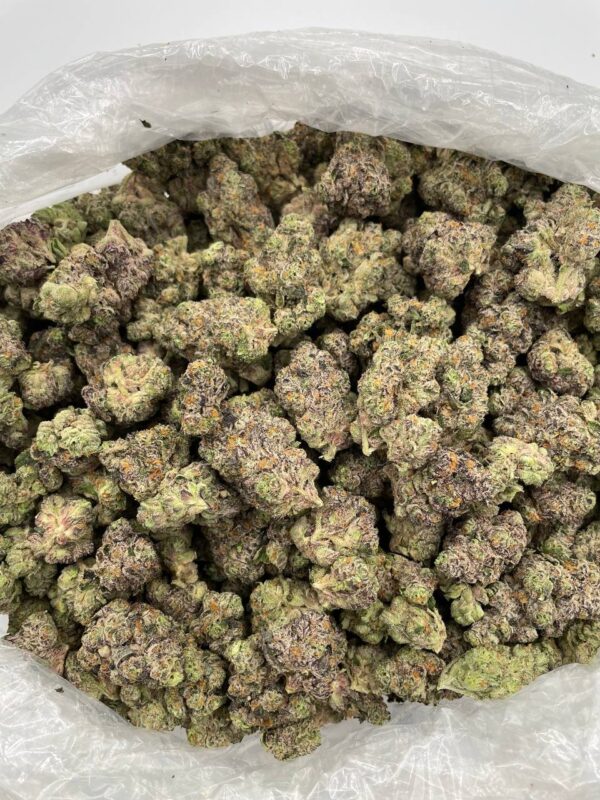 ROTTEN FRESCA