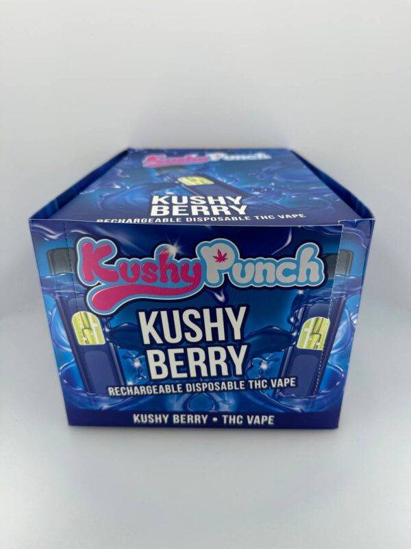 KUSH PUNCH (1g)