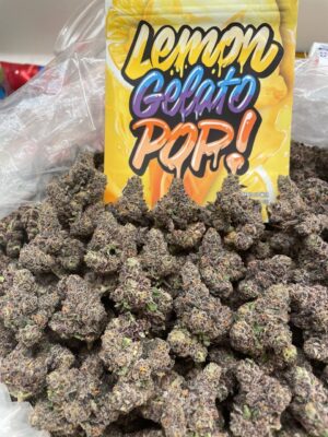 Lemon Gelato Pop!