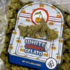 WHITE CHERRY GELATO