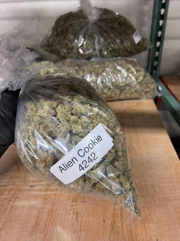 ALIEN COOKIES
