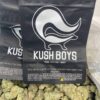 ALIEN COOKIES