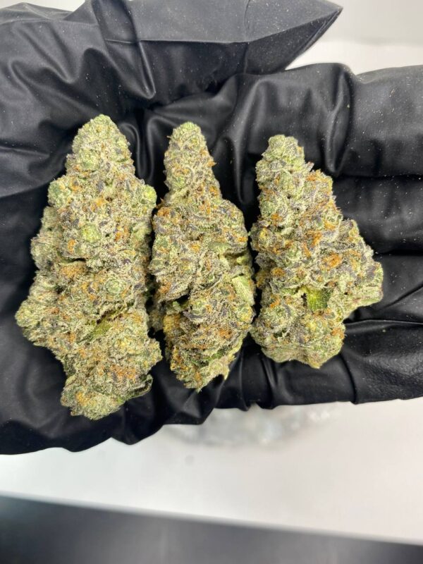 ALIEN COOKIES