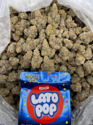 LATO POP by JOKE'S UP