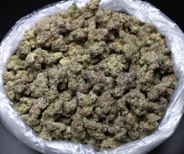 BUBBLEGUM GELATO