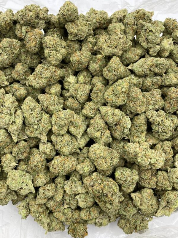 Lemon 🍋