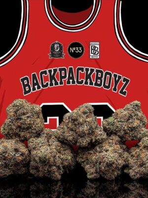 SCOTTIE PIPPEN BACKPACK BOYZ(NUMBER 33)