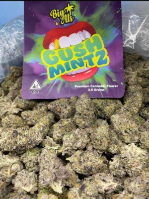 GUSH MINTZ
