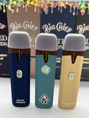 Buy Big Chief 2G Disposable​ Online