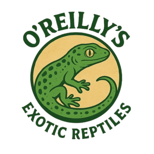 Oreilleys Exotic Reptiles