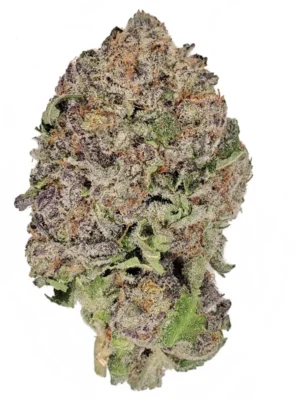 Granddaddy Purple XXL